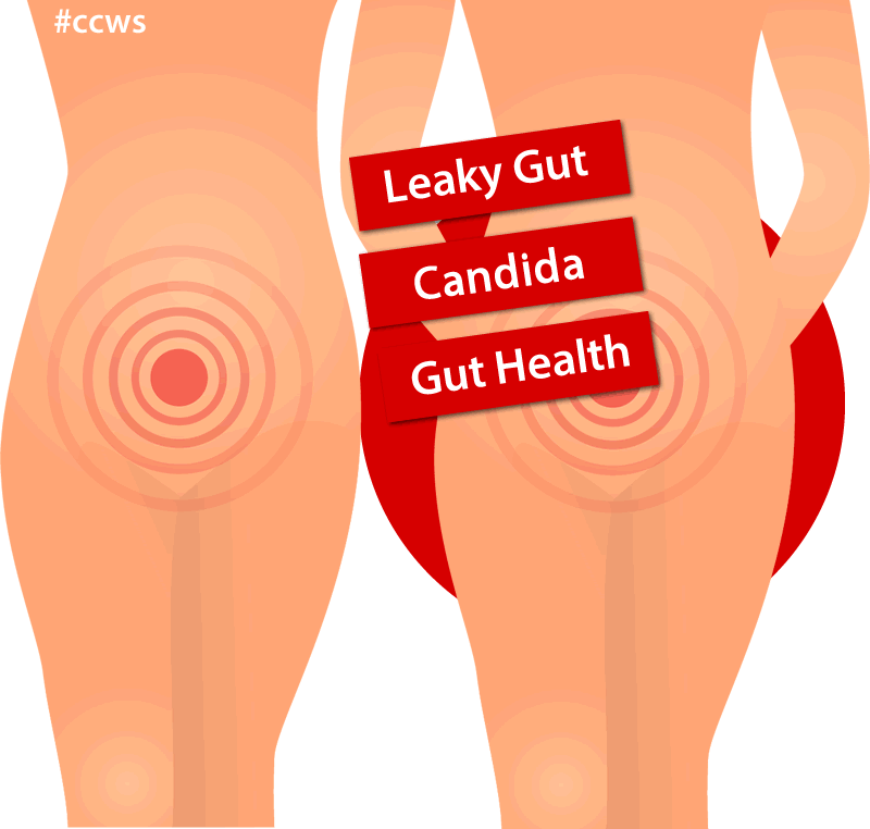Candida & Leaky Gut | Gaps | Best Diet For Healing Leaky Gut
